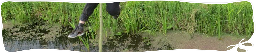 kindercoaching Den Haag bureau buitenlucht